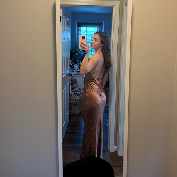 Shona joy dress in copper - Picture 4 of 4